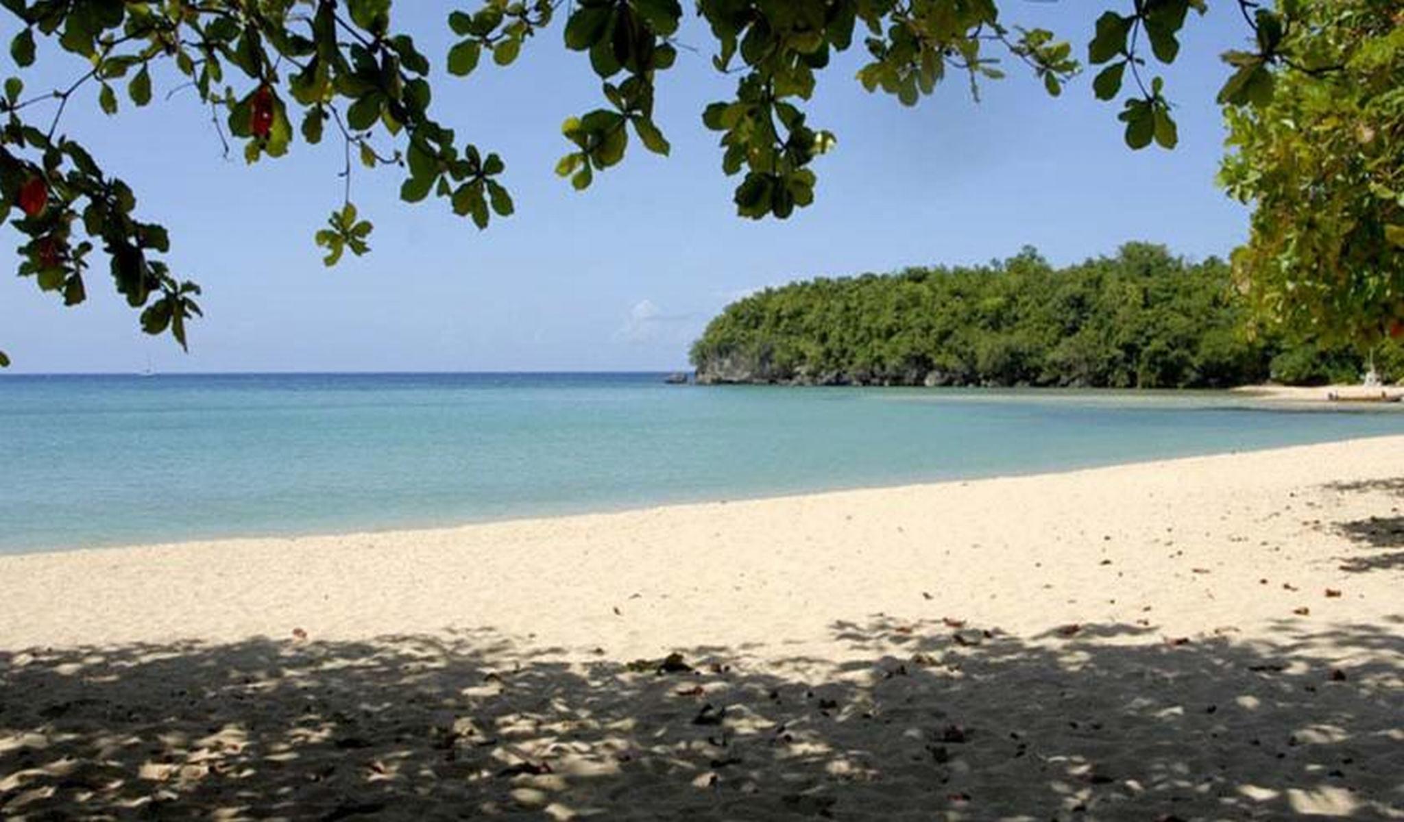 Shaw Park Beach Hotel & Spa Ocho Rios Eksteriør billede